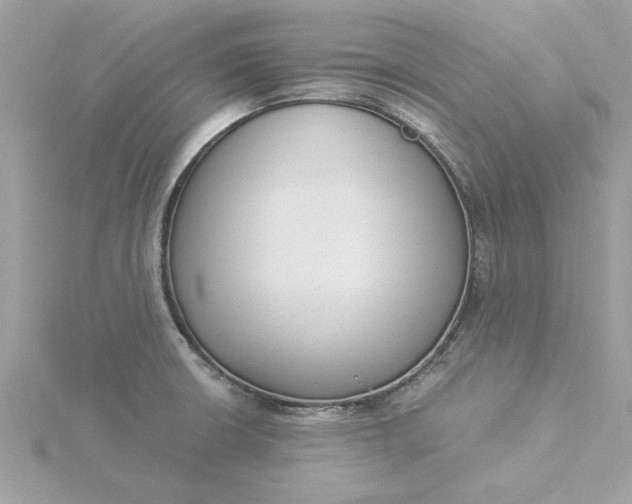 X0000116051426200912041823