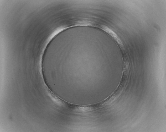 X0000116051427200912041823