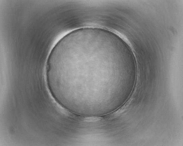 X0000116051440200912041824