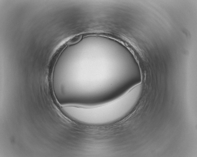X0000116051452200912041823