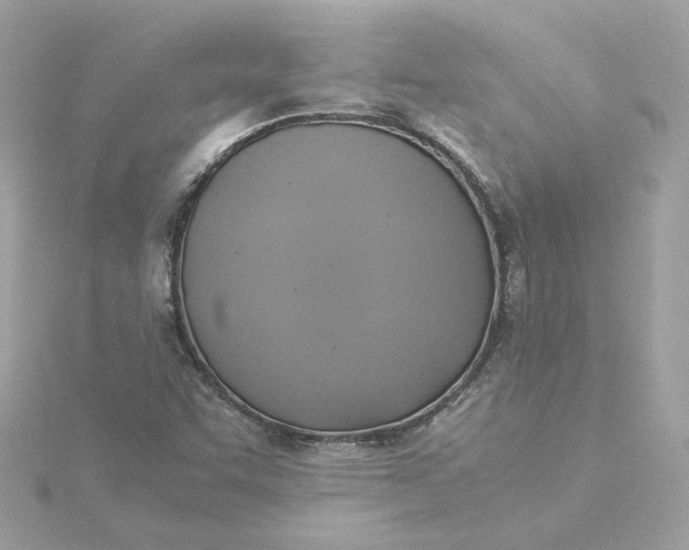 X0000116051455200912041823