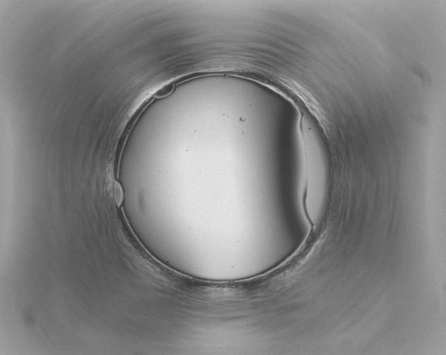 X0000116051465200912041823