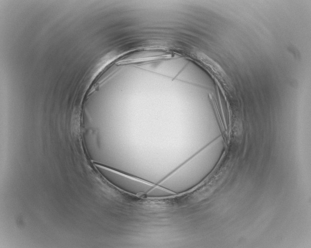 X0000116051473200912041822