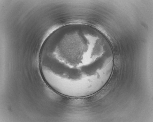 X0000116051474200912041822