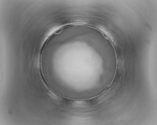 X0000116051477200912041822