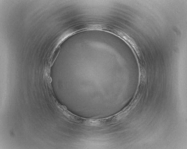 X0000116051481200912041822