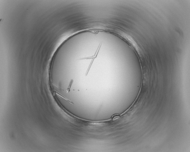 X0000116051483200912041822