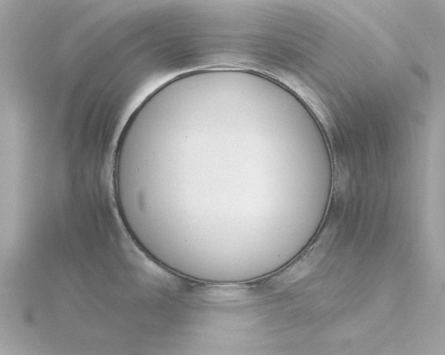 X0000116051486200912041822