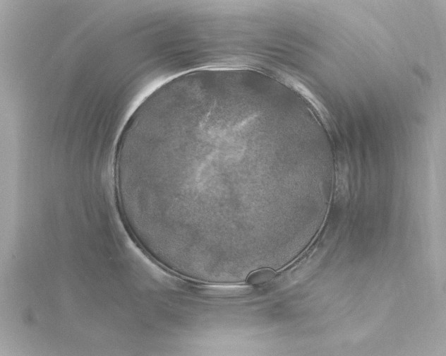 X0000116051487200912041822