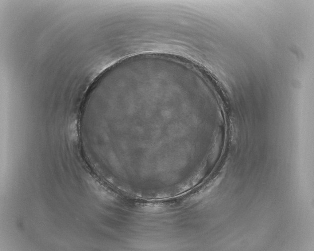 X0000116051497200912041822