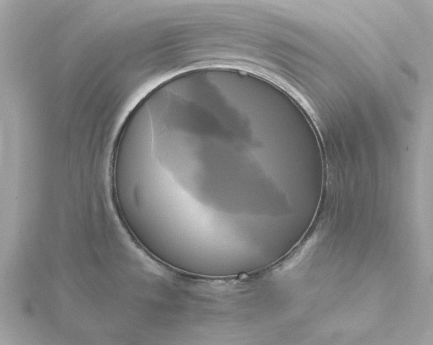 X0000116051533200912041822