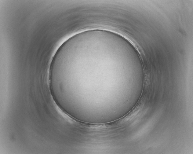 X0000116051535200912041822