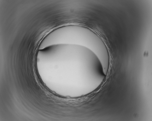 X0000116050001200912111515