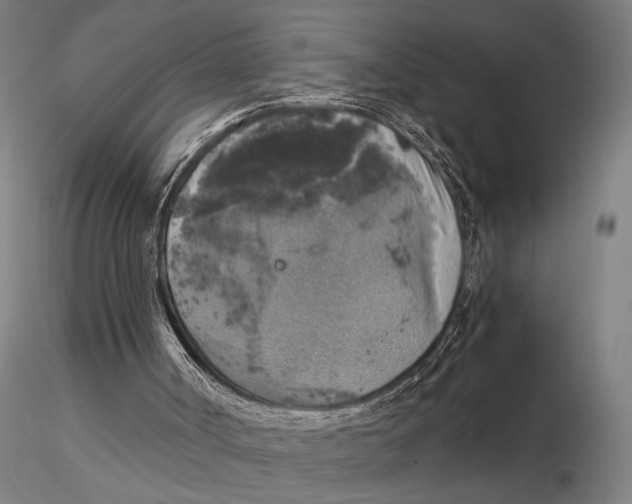 X0000116050002200912111515