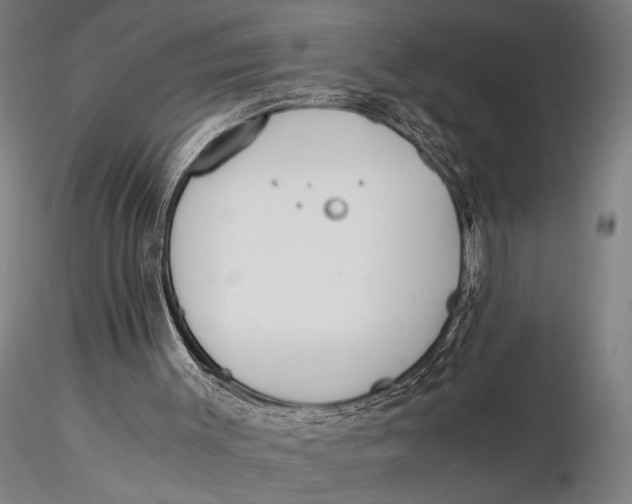 X0000116050003200912111515