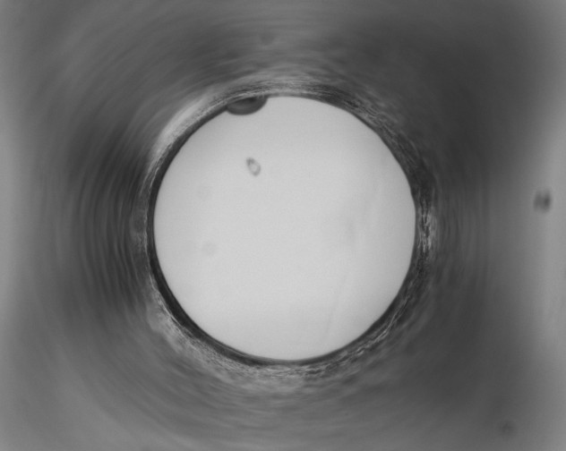 X0000116050004200912111515