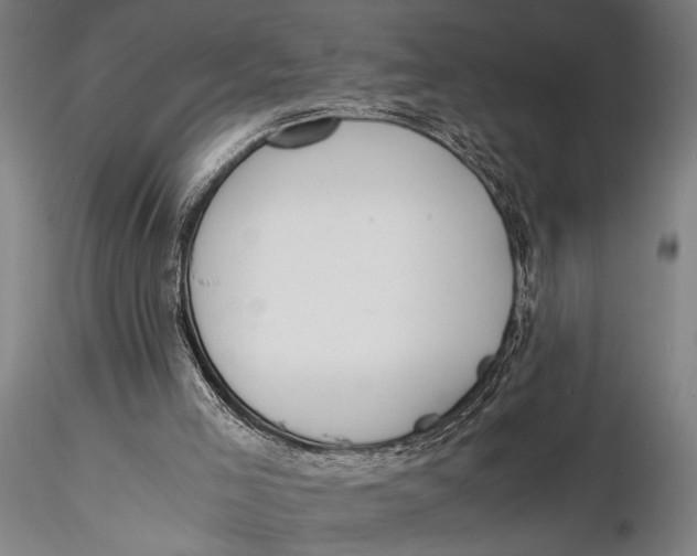 X0000116050005200912111515