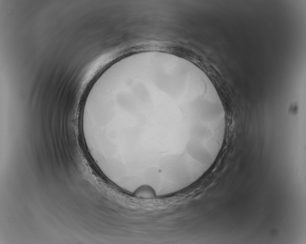 X0000116050006200912111515