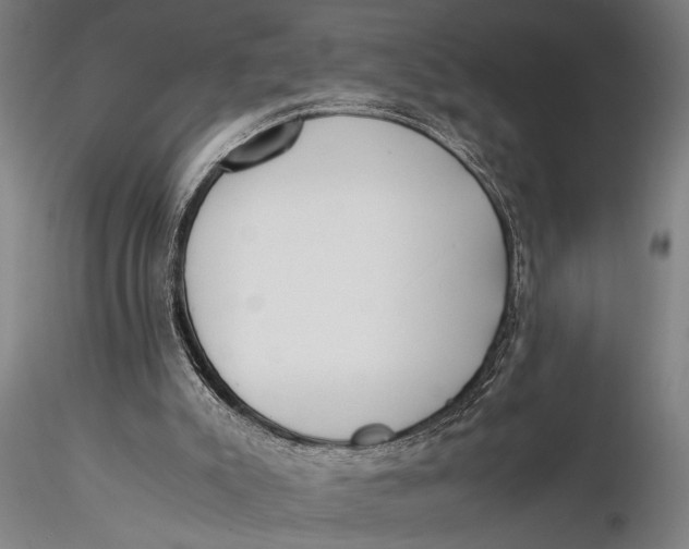 X0000116050007200912111515