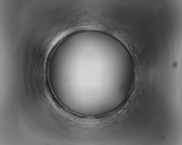 X0000116050008200912111515