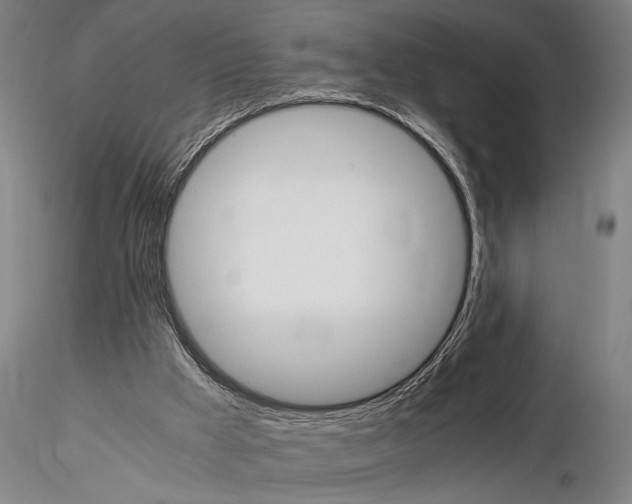 X0000116050009200912111515