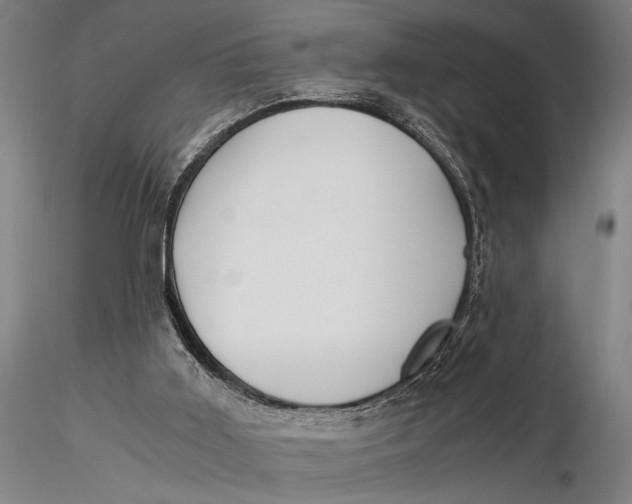 X0000116050011200912111515