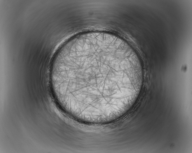 X0000116050012200912111515