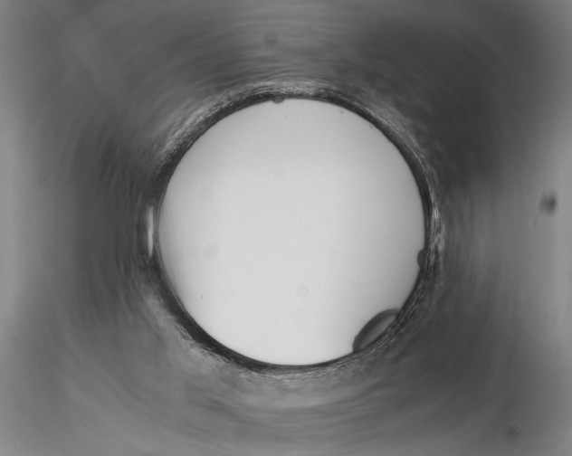 X0000116050013200912111515