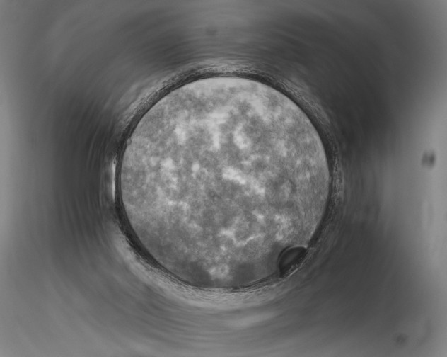 X0000116050014200912111515