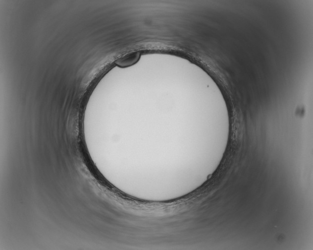 X0000116050015200912111515