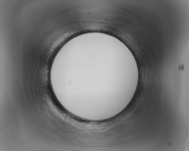 X0000116050016200912111515