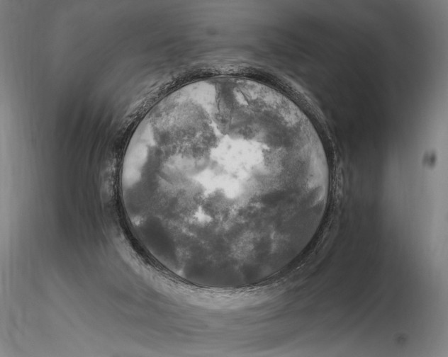 X0000116050018200912111515