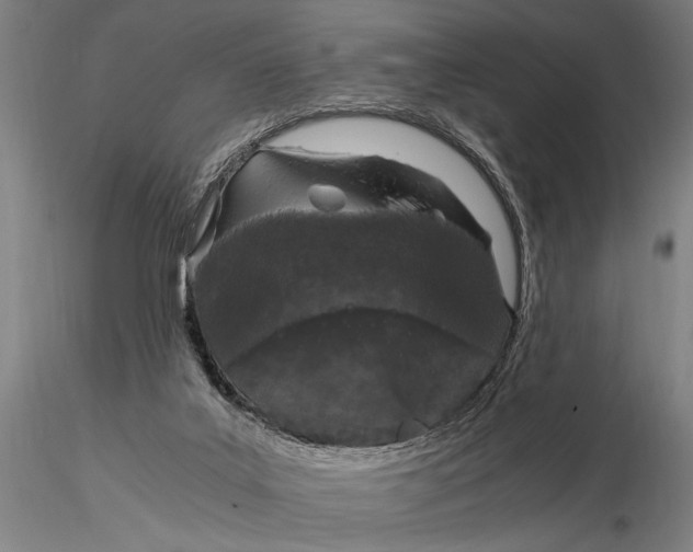 X0000116050019200912111515