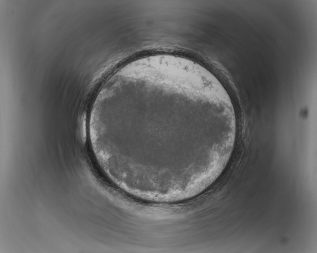 X0000116050020200912111515