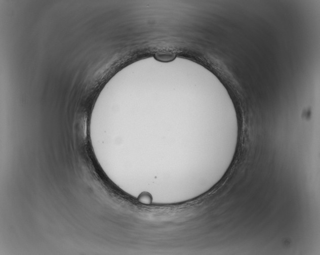 X0000116050021200912111515