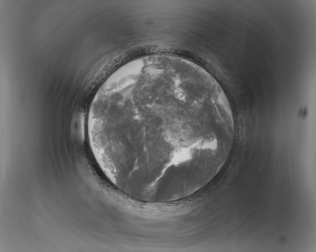 X0000116050022200912111515