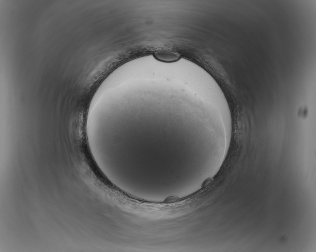 X0000116050023200912111515