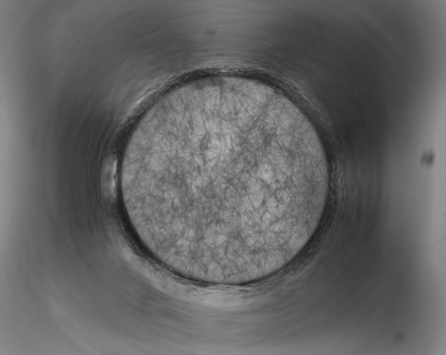 X0000116050024200912111515