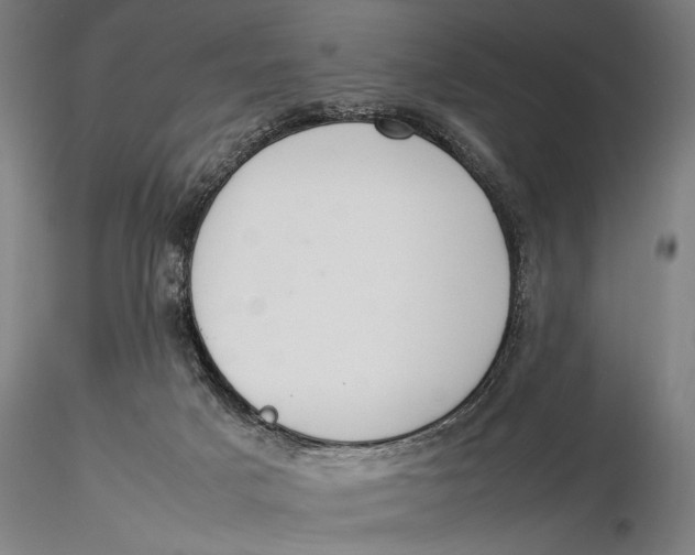 X0000116050025200912111515