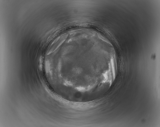 X0000116050026200912111515