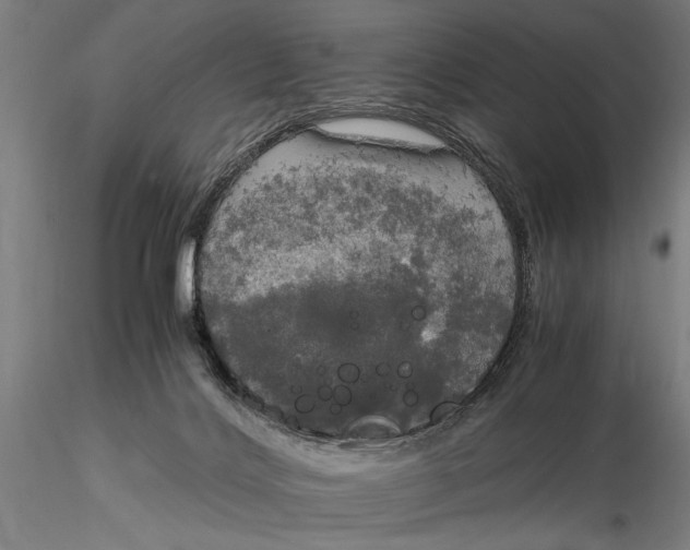 X0000116050028200912111515