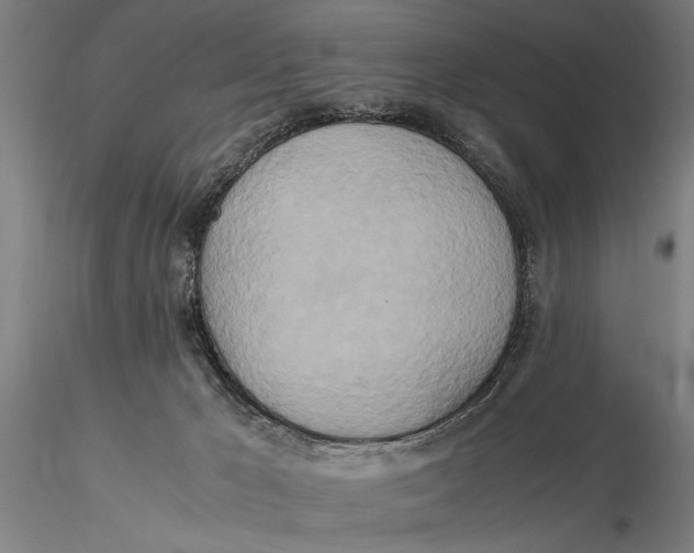 X0000116050029200912111515