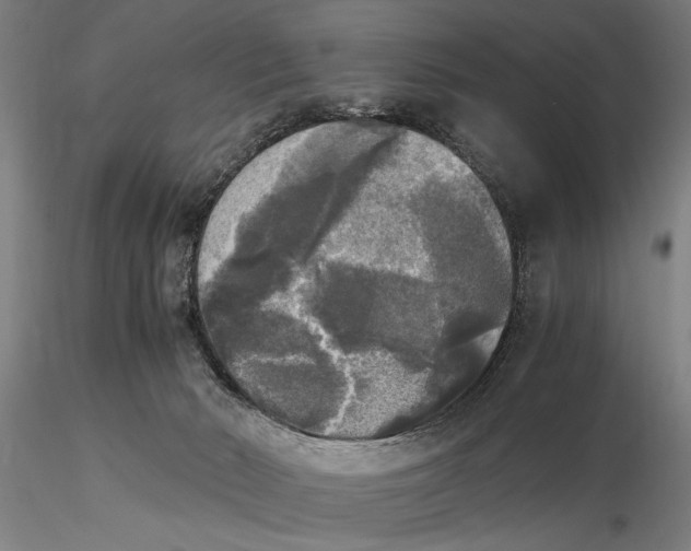 X0000116050030200912111515