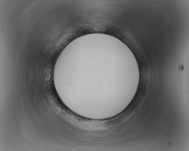 X0000116050032200912111515