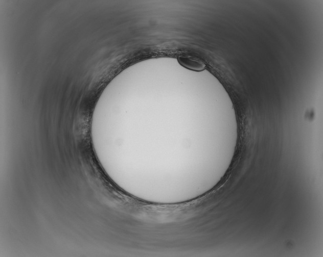 X0000116050033200912111514