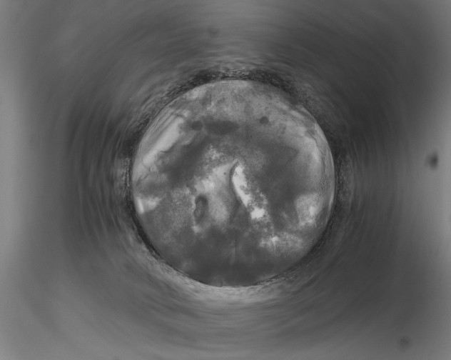 X0000116050034200912111514