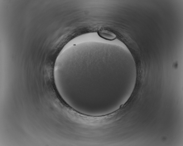 X0000116050035200912111514