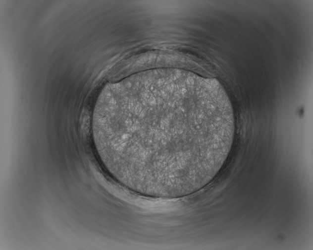 X0000116050036200912111514