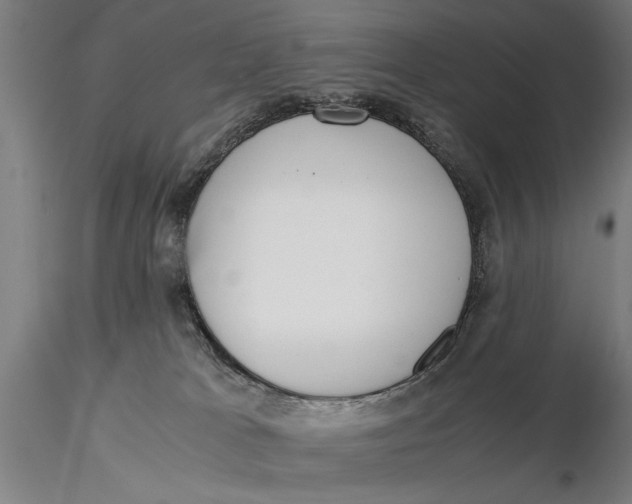 X0000116050037200912111514