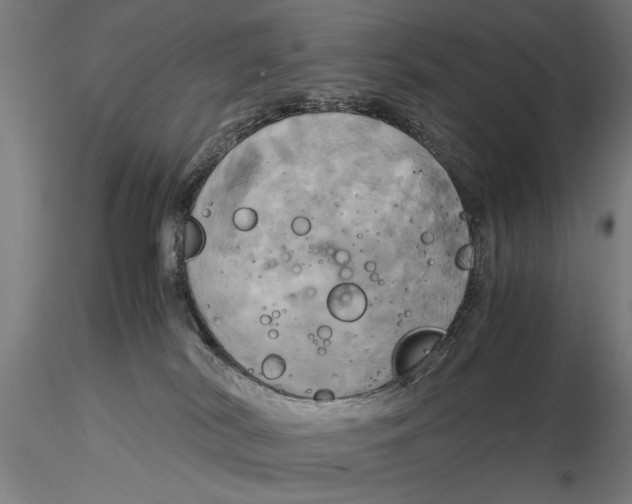 X0000116050038200912111514